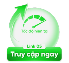 CHUYENLINK5