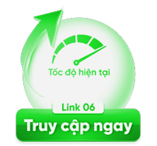 CHUYENLINK6
