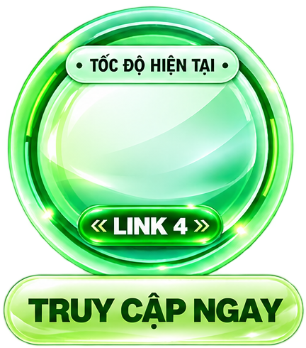 LINK 4